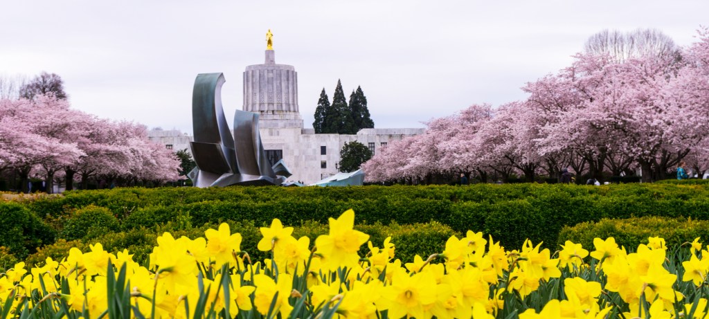 Oregon's Willamette Valley